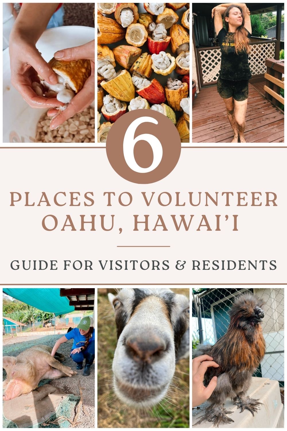 6 Places to Volunteer Oahu Hawai’i | Guide for Visitors & Residents